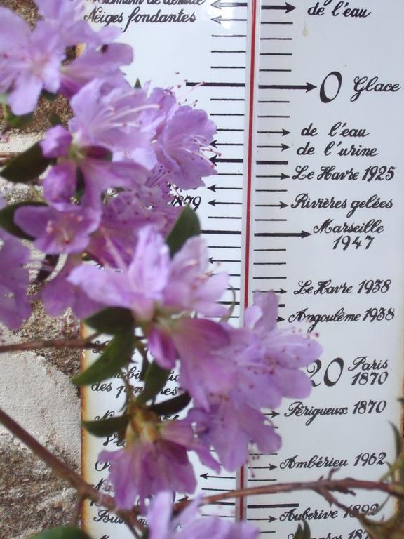 Bed and Breakfast Le Berceul La Richardais Exterior foto