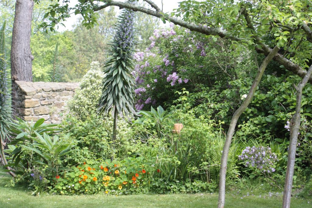 Bed and Breakfast Le Berceul La Richardais Exterior foto